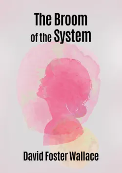 the broom of the system book cover image