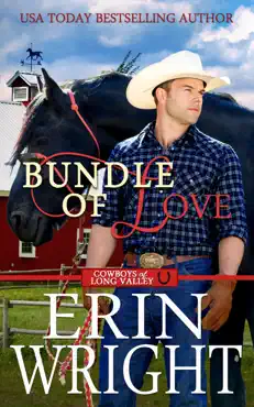 bundle of love: an office contemporary western romance book cover image