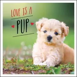 love is a pup book cover image