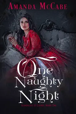 one naughty night book cover image