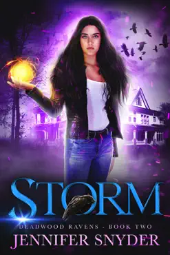 storm book cover image