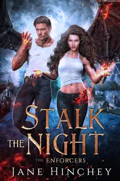 stalk the night book cover image