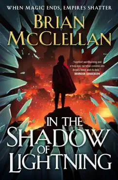 in the shadow of lightning book cover image