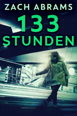 133 stunden book cover image