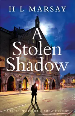 a stolen shadow book cover image