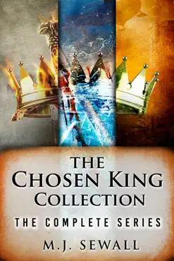 the chosen king collection book cover image