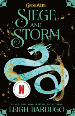 siege and storm book cover image