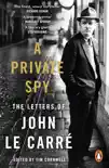 A Private Spy sinopsis y comentarios
