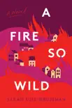 A Fire So Wild synopsis, comments