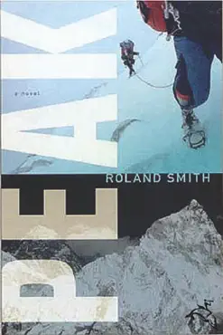 peak book cover image