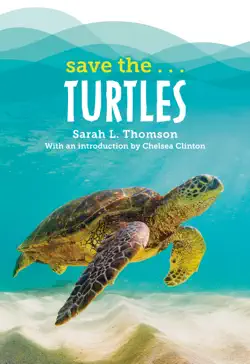 save the...turtles book cover image