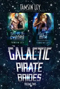 galactic pirate brides book cover image
