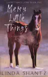 Merry Little Things synopsis, comments