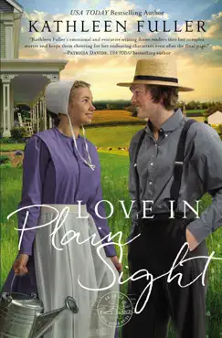love in plain sight book cover image