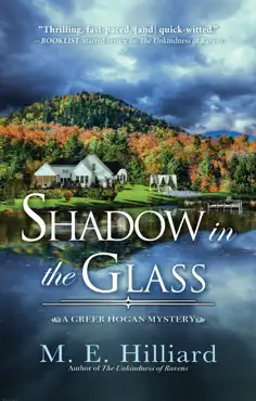 shadow in the glass book cover image