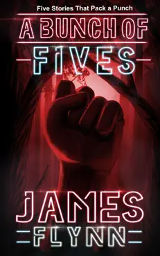 a bunch of fives book cover image