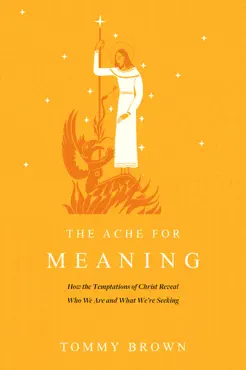 the ache for meaning book cover image