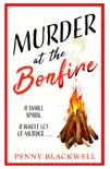 Murder at the Bonfire synopsis, comments