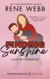 Finding Sunshine synopsis, comments