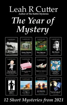 the year of mystery book cover image