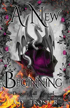 a new beginning book cover image