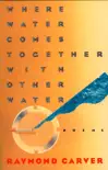Where Water Comes Together with Other Water synopsis, comments