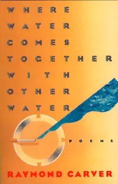 where water comes together with other water book cover image
