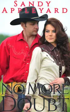 no more doubt book cover image