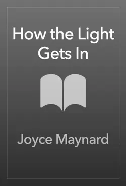 how the light gets in book cover image