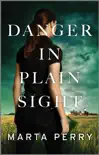 Danger in Plain Sight synopsis, comments