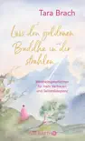 Lass den goldenen Buddha in dir strahlen sinopsis y comentarios
