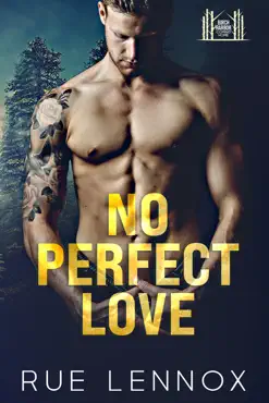 no perfect love book cover image
