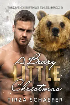 a beary little christmas book cover image