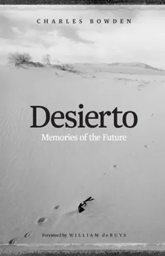 desierto book cover image