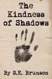 The Kindness of Shadows synopsis, comments