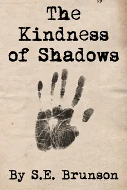 the kindness of shadows book cover image