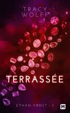 terrassée book cover image