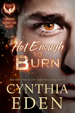 hot enough to burn book cover image