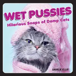 wet pussies book cover image