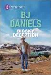 Big Sky Deception synopsis, comments