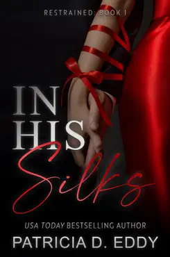 in his silks book cover image