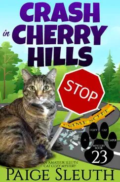 crash in cherry hills book cover image