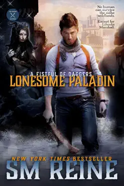 lonesome paladin book cover image