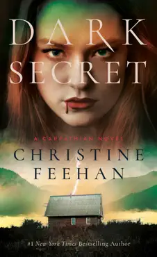 dark secret book cover image