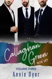 Callaghan Green Series Books 8 - 10 synopsis, comments