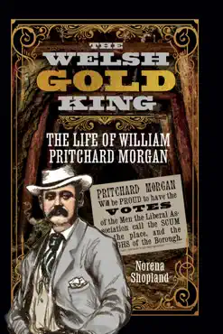 the welsh gold king book cover image