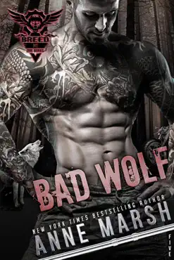 bad wolf imagen de la portada del libro
