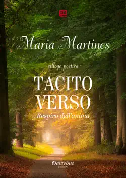 tacito verso book cover image