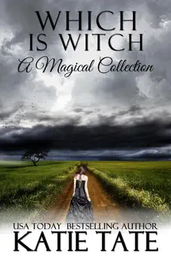 which is witch book cover image