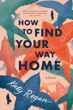 how to find your way home book cover image